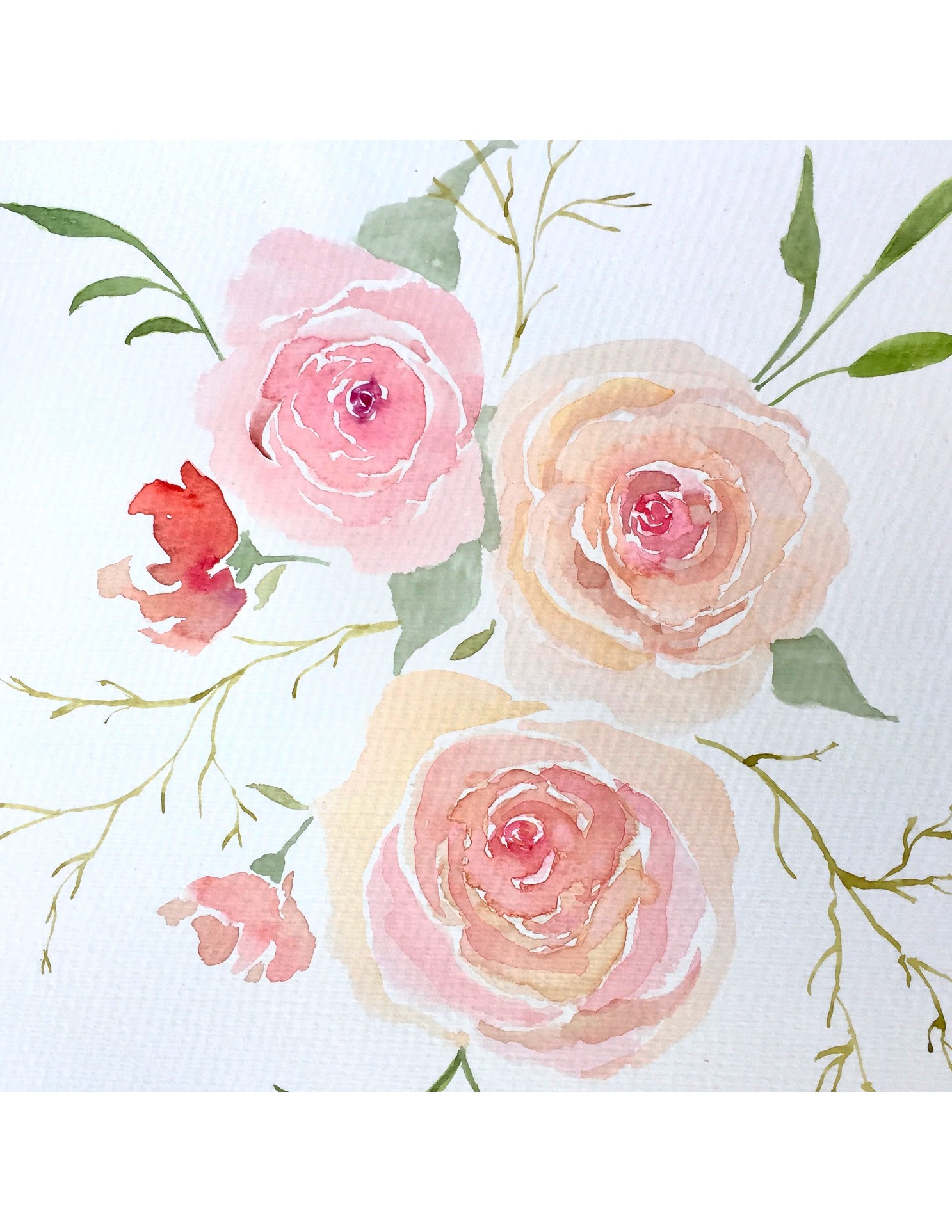 Watercolor painting of pink and peach roses